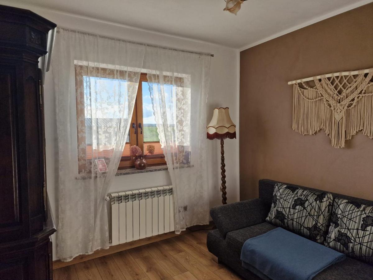 Agroturystyka Kaszuby Villagehome Borzytuchom Exterior photo